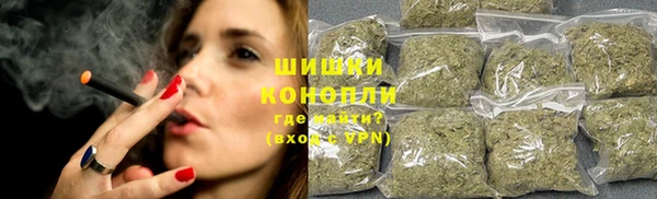 шишки Михайловка