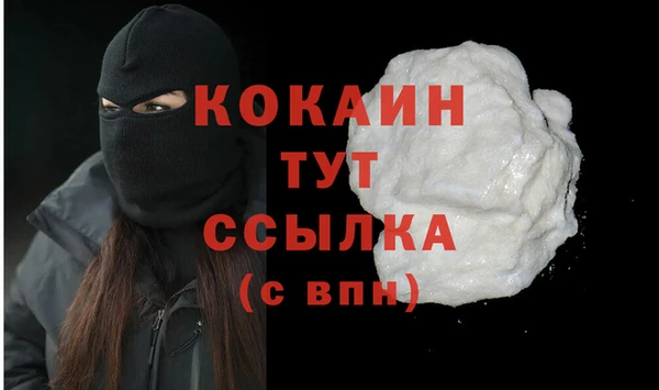 ГАЛЛЮЦИНОГЕННЫЕ ГРИБЫ Михайлов