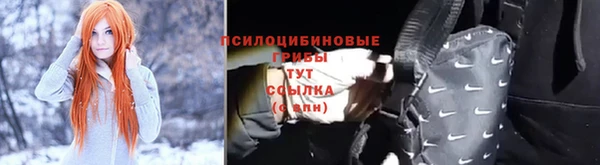 ГАЛЛЮЦИНОГЕННЫЕ ГРИБЫ Михайловск