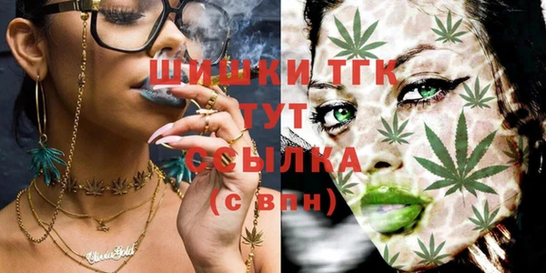 шишки Михайловка