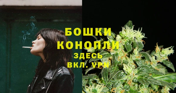 шишки Михайловка