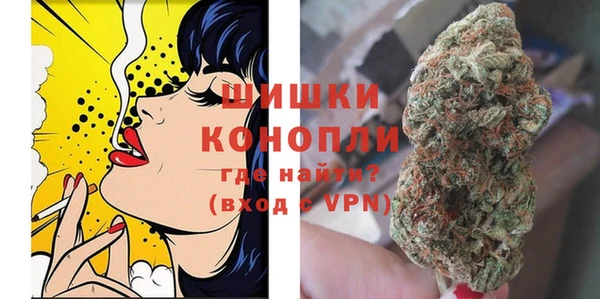 ГАЛЛЮЦИНОГЕННЫЕ ГРИБЫ Михайлов