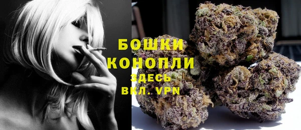 ГАЛЛЮЦИНОГЕННЫЕ ГРИБЫ Михайловск