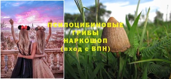 ГАЛЛЮЦИНОГЕННЫЕ ГРИБЫ Михайлов