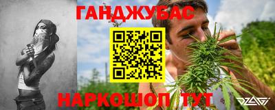шишки Гусев