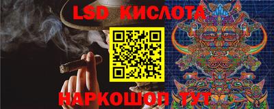PSILOCYBIN Волжский