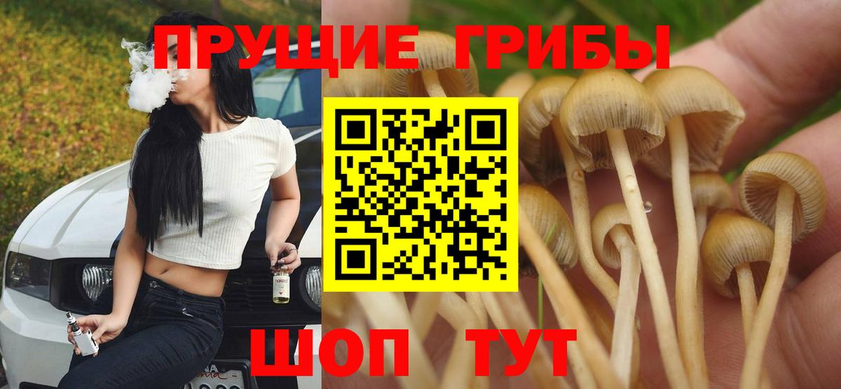 Псилоцибиновые грибы мухоморы  Галлюциногенные грибы Magic Shrooms  Вход с VPN  Звенигород 