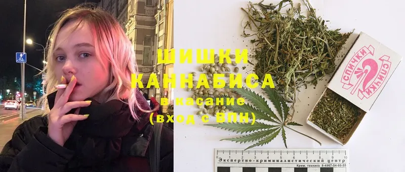 Конопля Ganja  как найти наркотики  Звенигород 