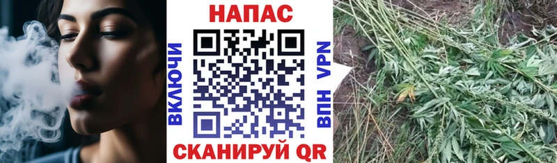 Конопля план  сколько стоит  Звенигород 